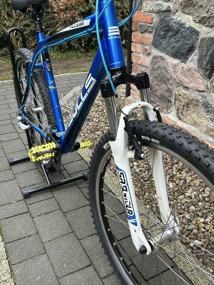 Rower Bulls pulsar