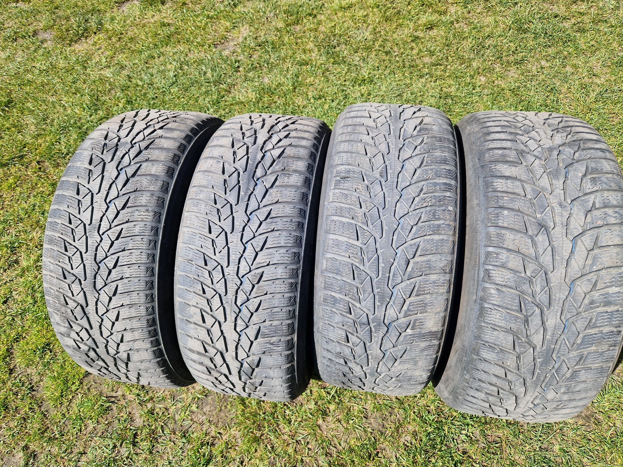 Nokian WR D4 225/55 R16