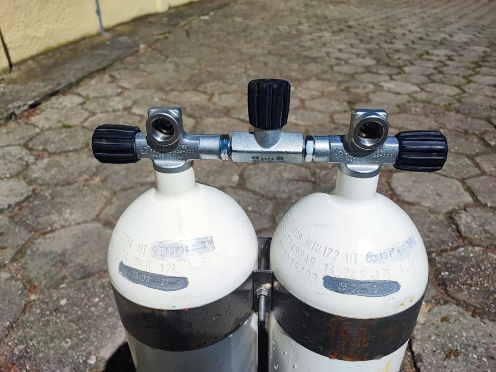 TwinSet świerza legalizacja 2x12 L