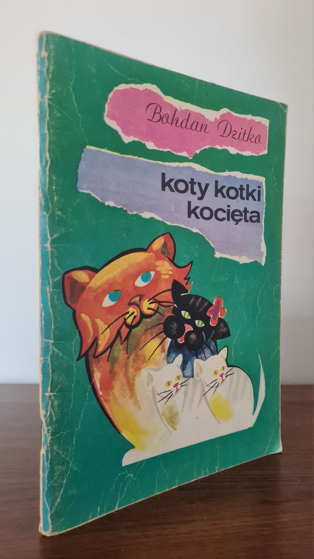 Koty kotki kocięta - Bohdan Dzitko