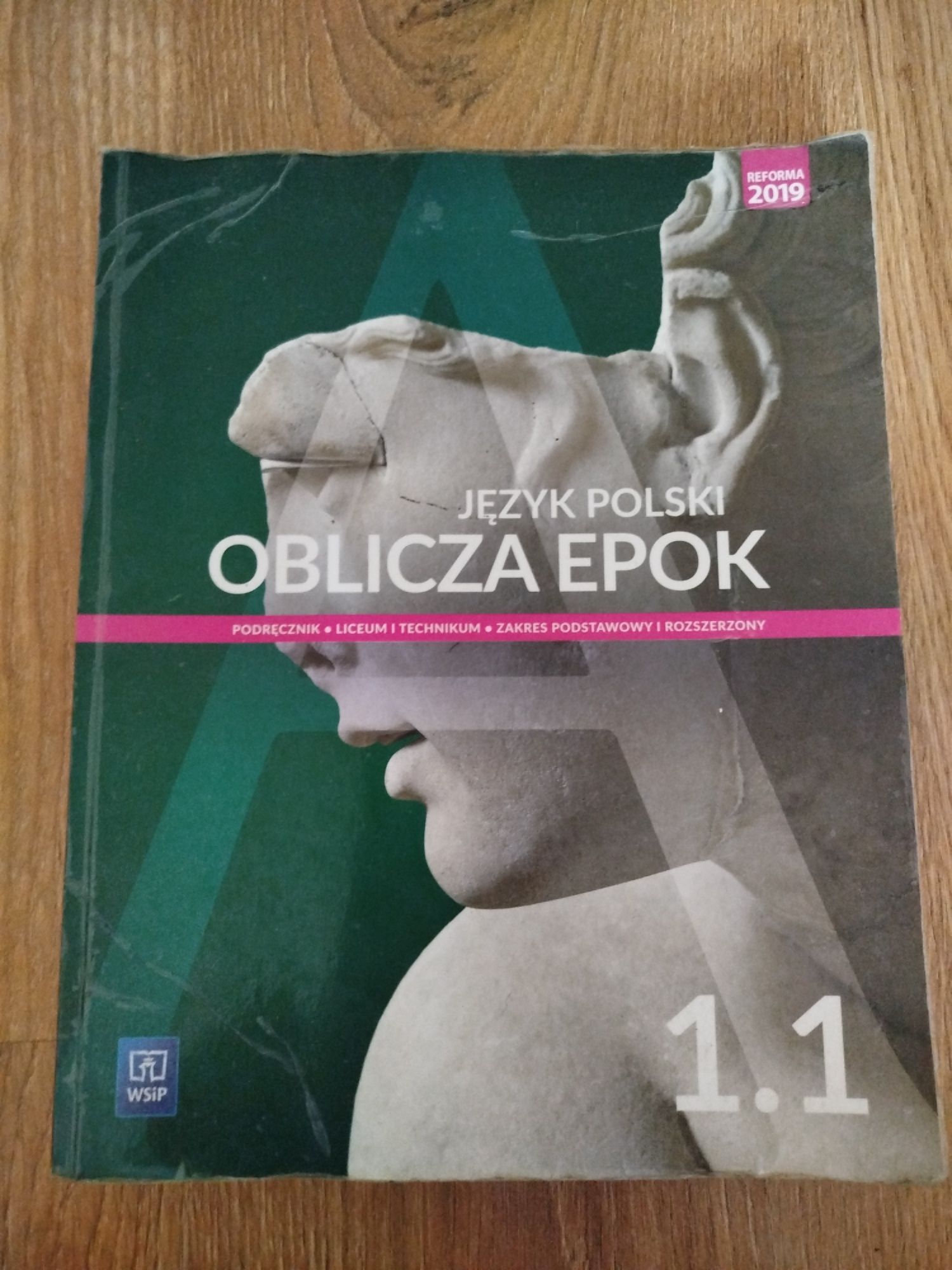 Oblicza epok język polski 1.1