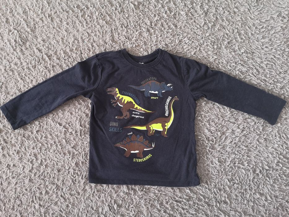 Bluzka dinozaury rozmiar 104