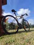 Rower szosowy Trek Domane Al4 GEN4