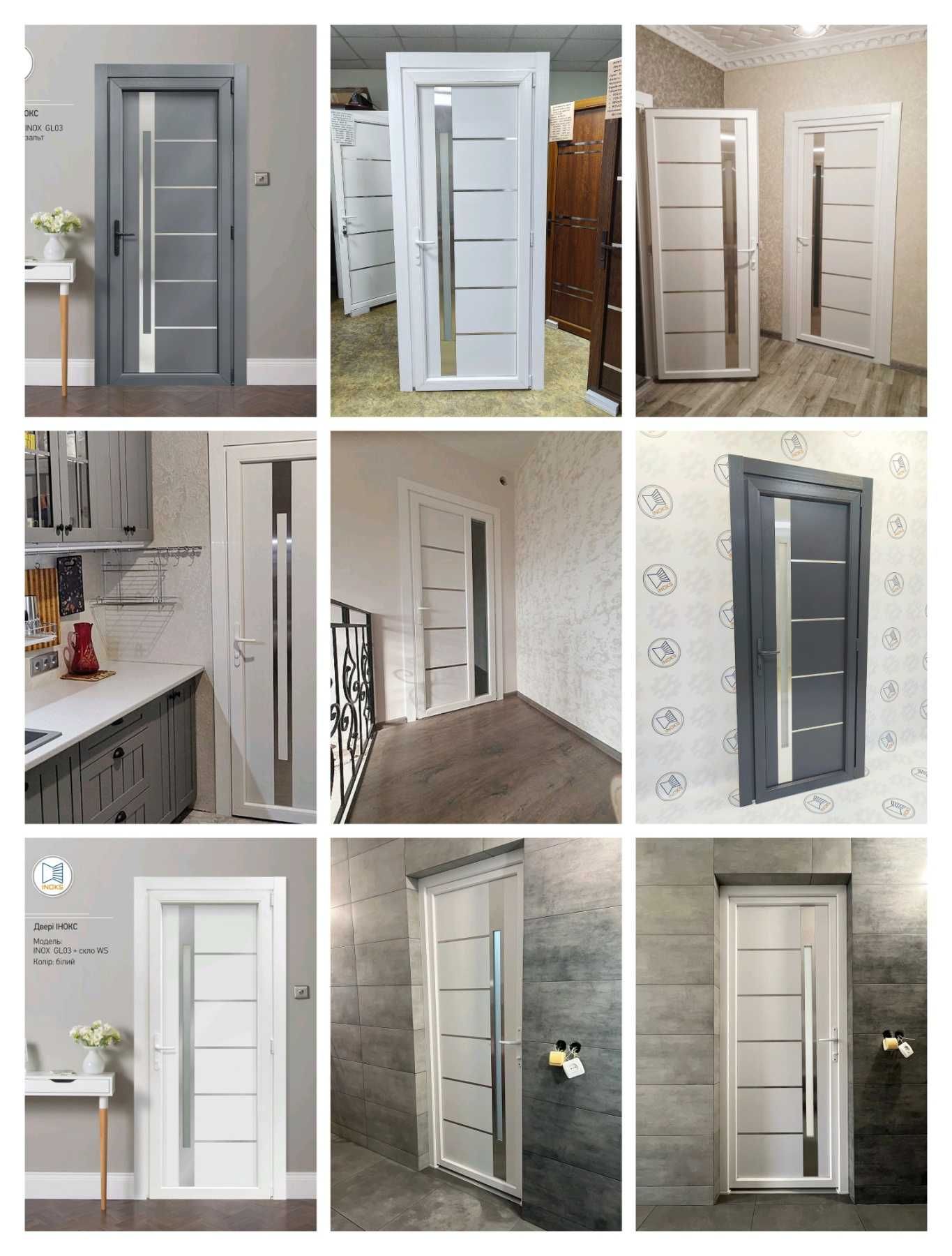 Двері з металопластику INOX 10 classic