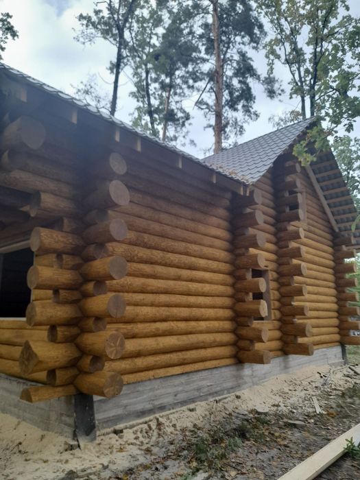 Сруб, будинки, бані, дикарь.