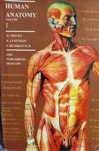 Human anatomy 1 и 2