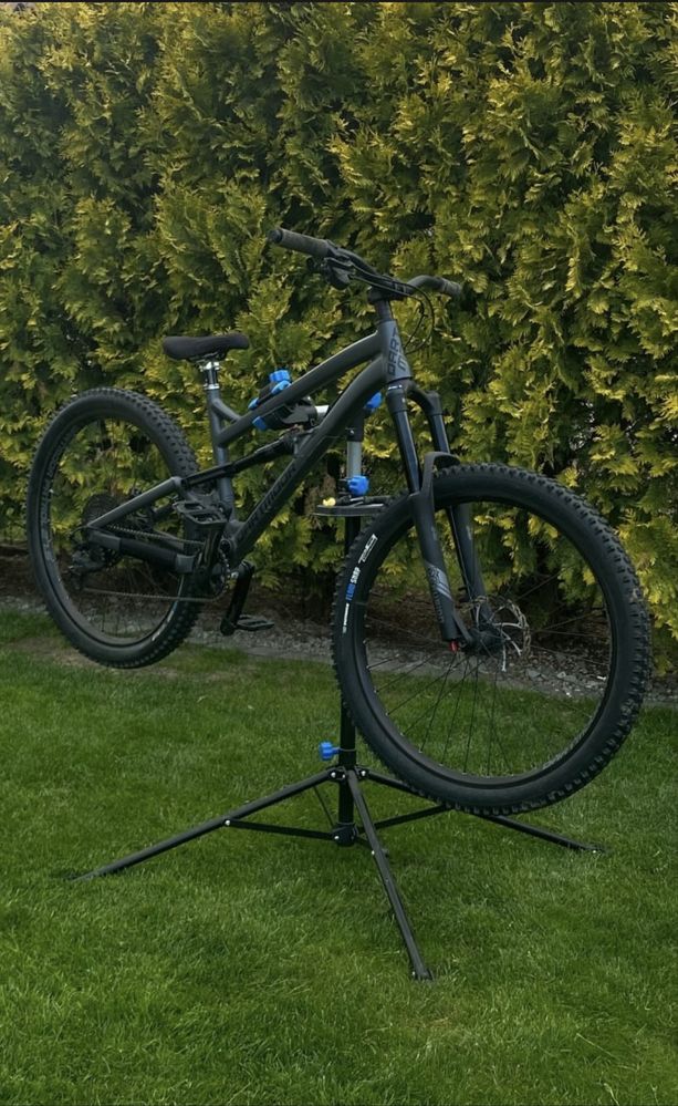 Dartmoor blackbird intro 2024 M