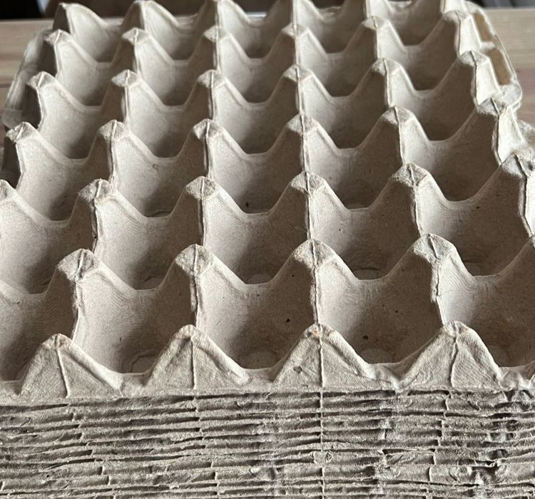 Wytłaczanki platonki do jajek 30