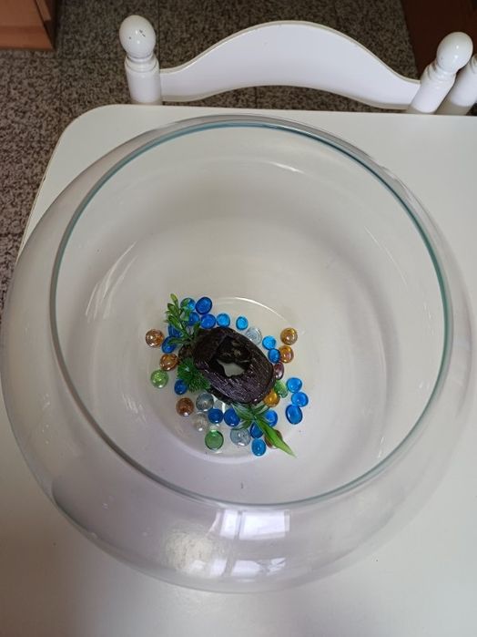 Aquário de vidro grande