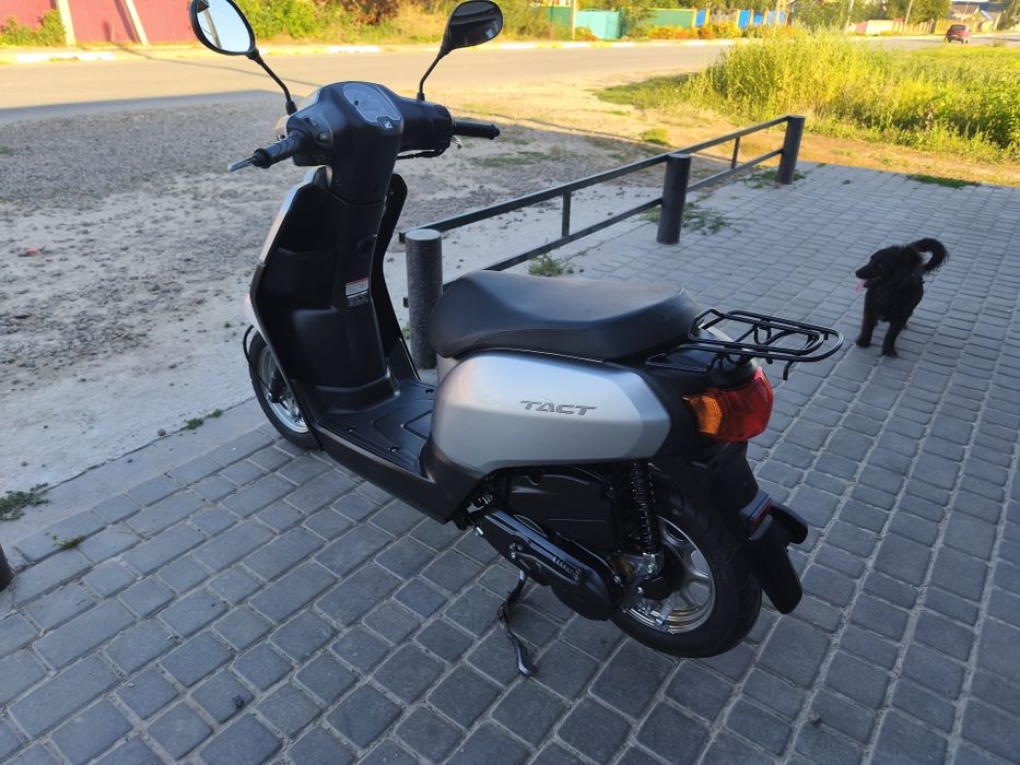 Honda Tact 79 з контейнера ідеал