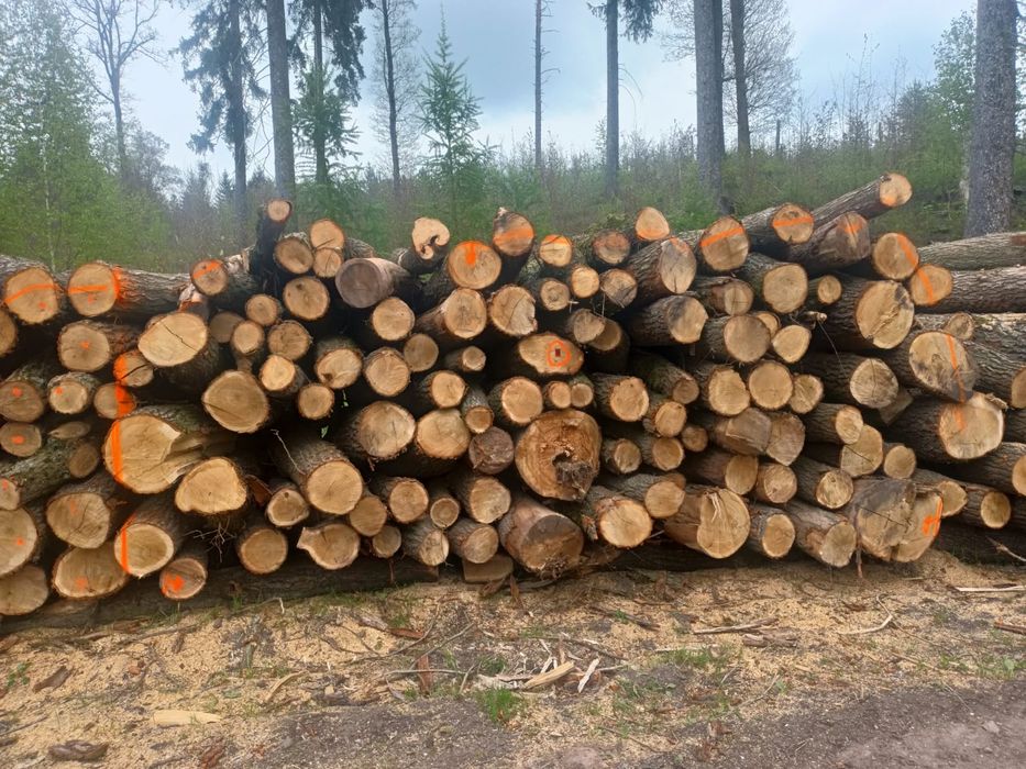 Rozpałka drewno na rozpałke i opałowe