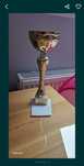 puchar sportowy zawody