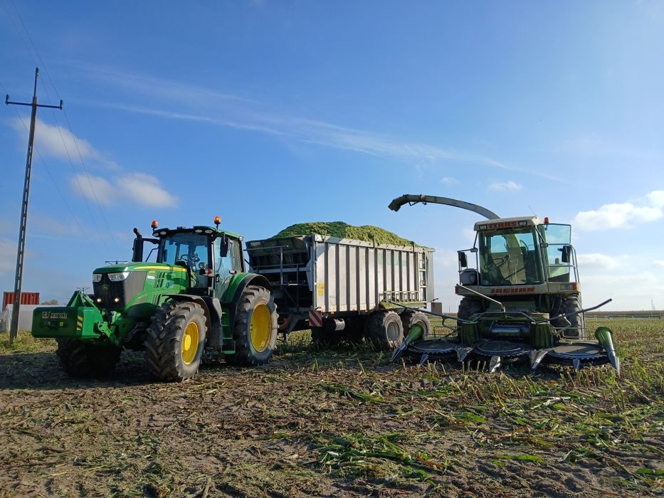 Transport  przyczepa 25 ton kurzak  podłoże  popieczarkowe