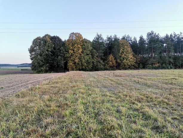 Sprzedam działki pod zabudowę mieszkaniową jednorodzinną w Giełczynie