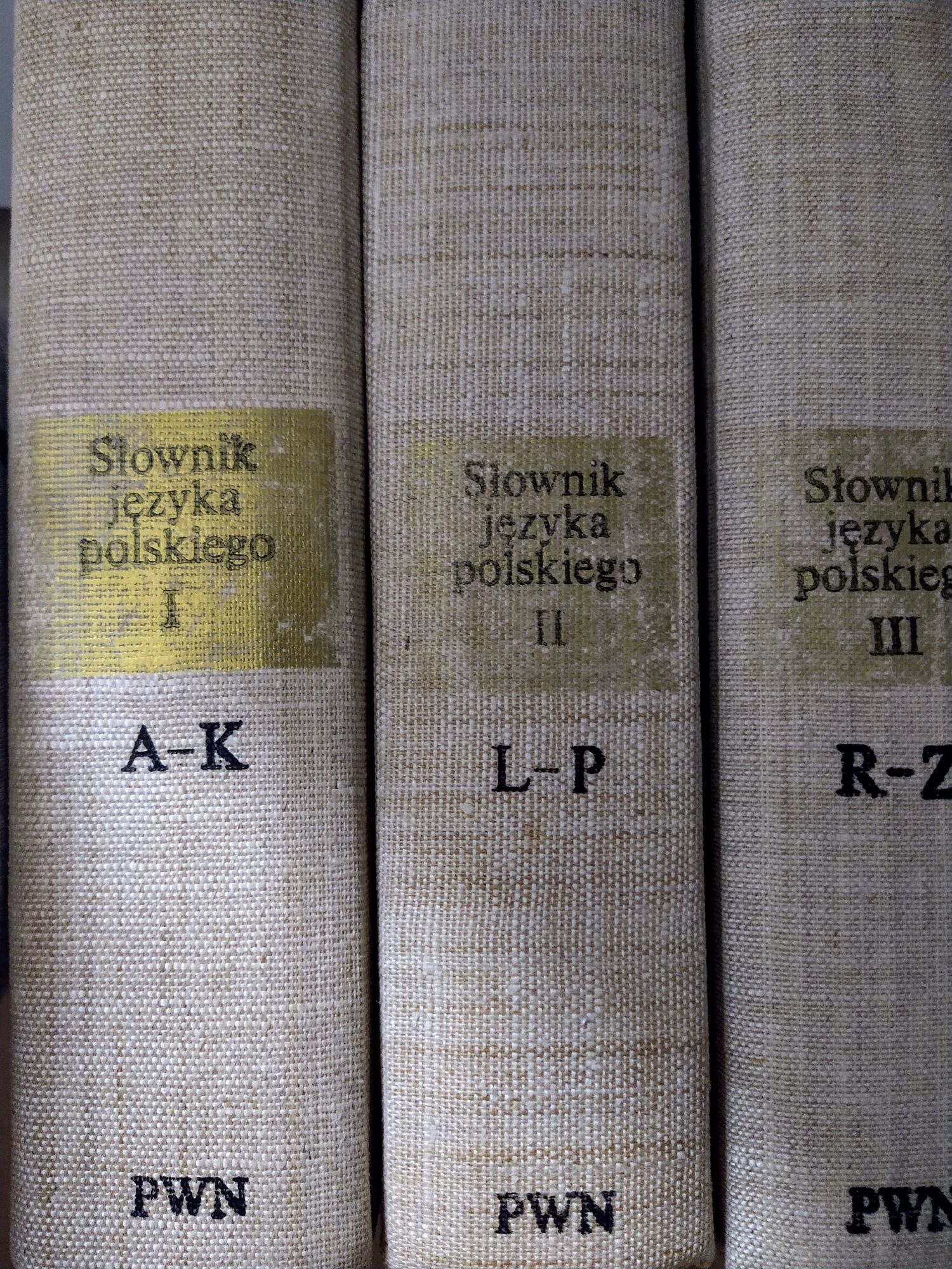 Słownik języka polskiego PWN 3 tomy plus słownik wyrazów obcych