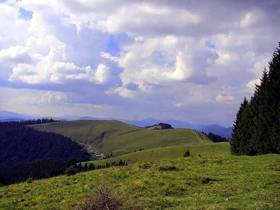 Продам ділянку в Закарпатській область біля Буковелю