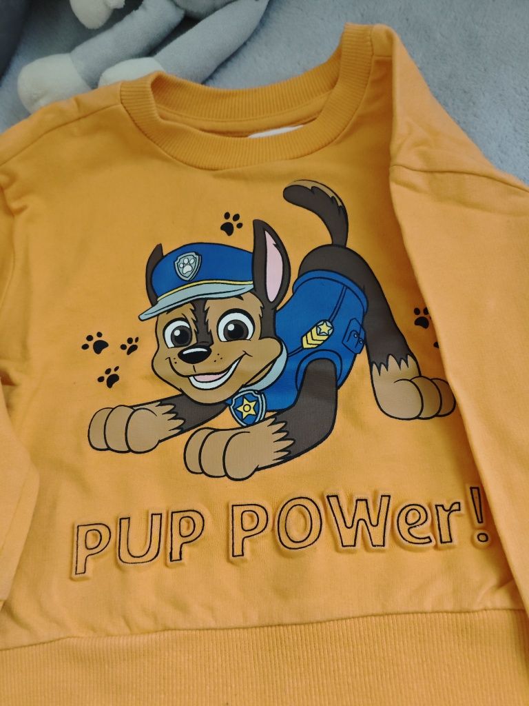 Bluza CHASE Psi patrol Sinsey r. 98