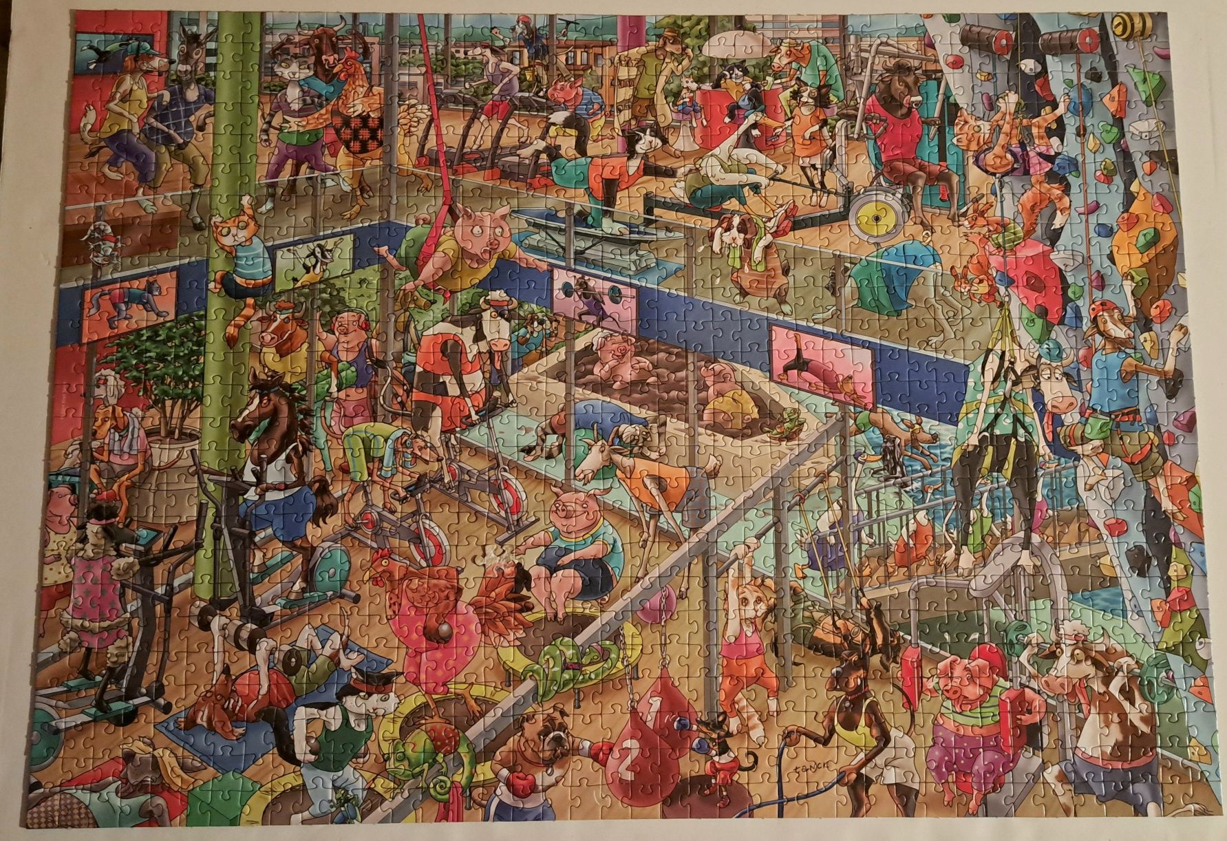 Puzzle HEYE Pet Gym 1000 peças