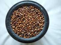 Sorgo karma dla gryzoni, kur, papug, przepiórek, gołębi, przepiórek