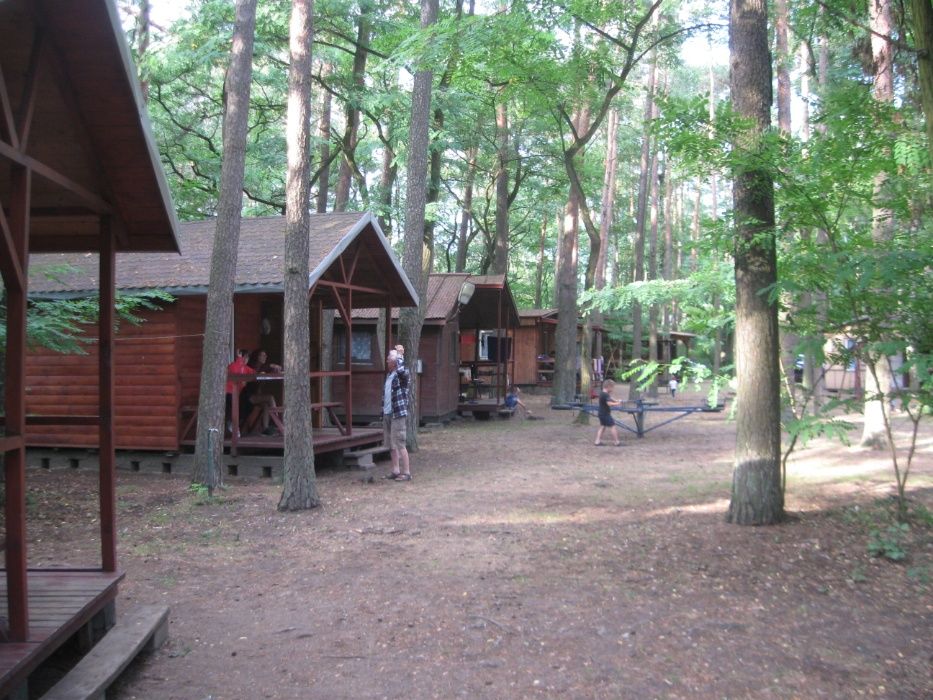 Domki w Skrzynkach
