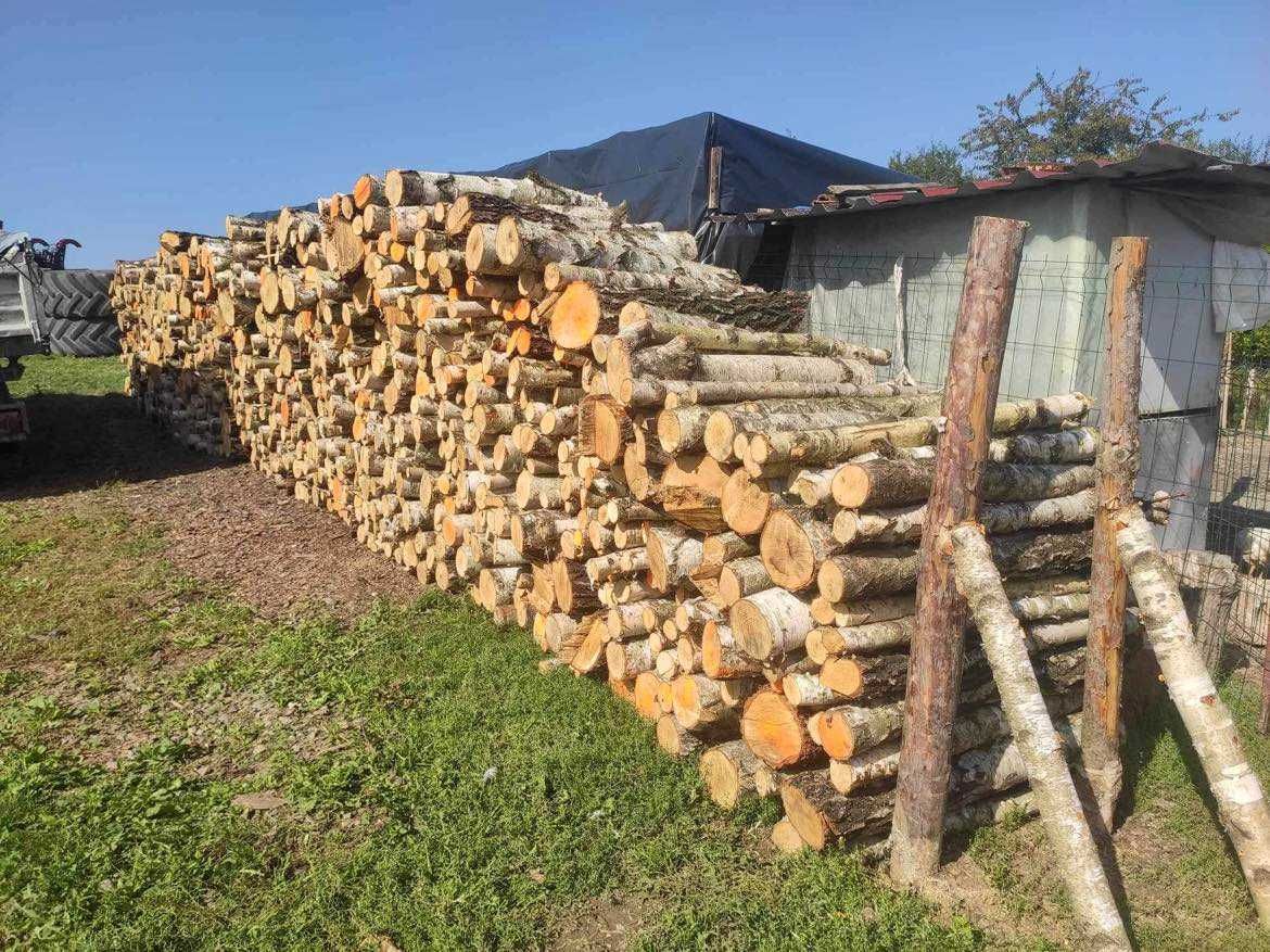 Mulczowanie usuwanie zakrzaczen samosiejek mulczer leśny usługi