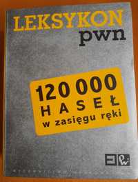 Leksykon PWN, 120 tys. haseł