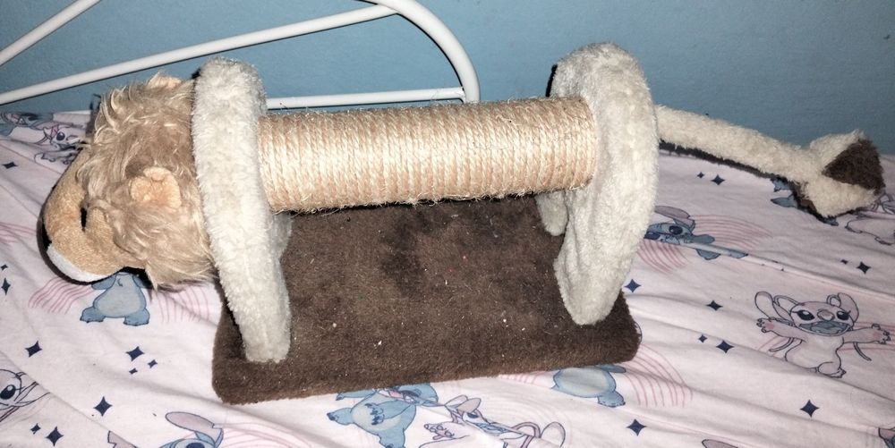 Drapak dla kota kotów