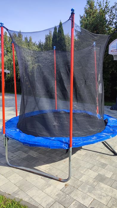 Trampolina 240cm