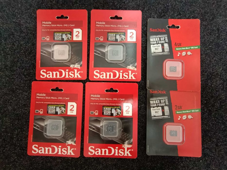 Karta pamięci Memory Stick Micro (M2) 2GB SanDisk- SKAWINA
