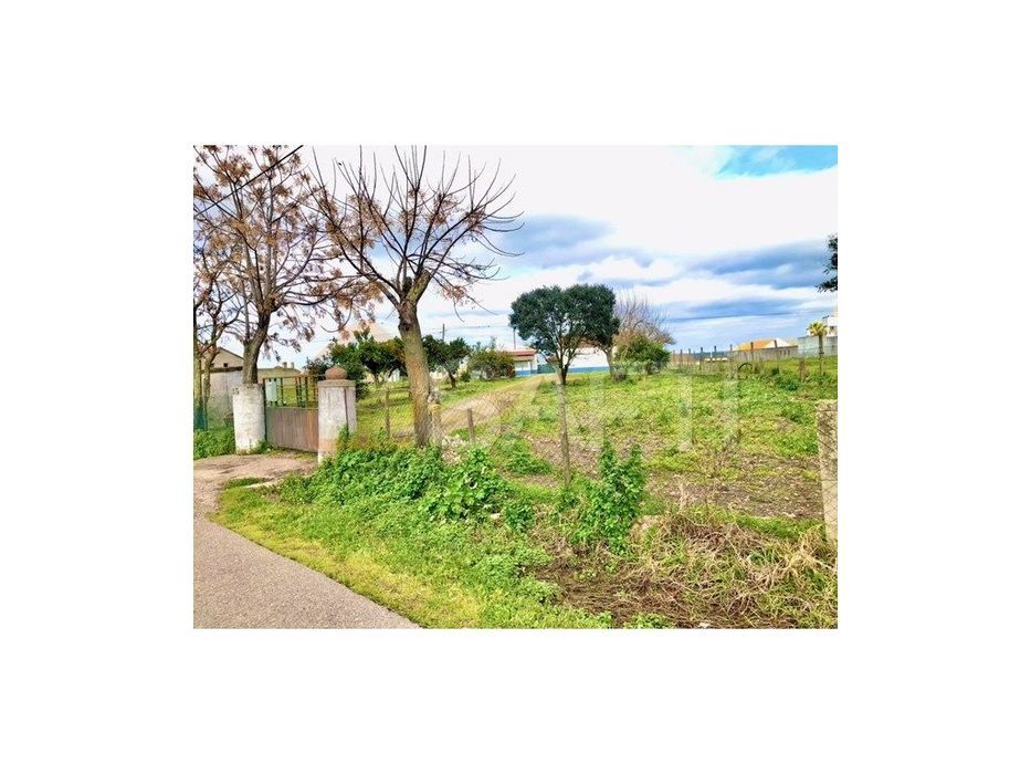 Quinta rural em Alpiarça