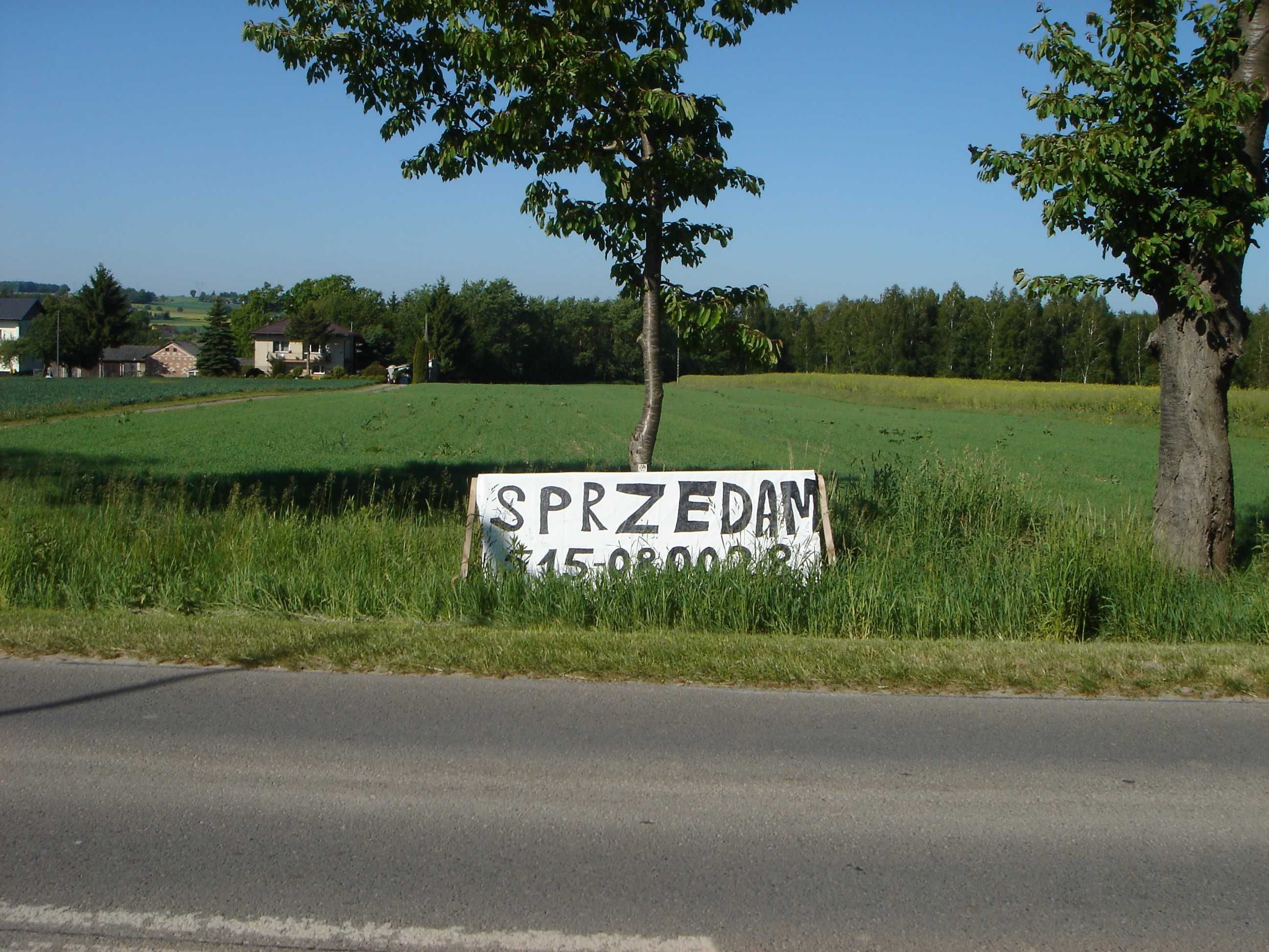 Działka Żabia Wola