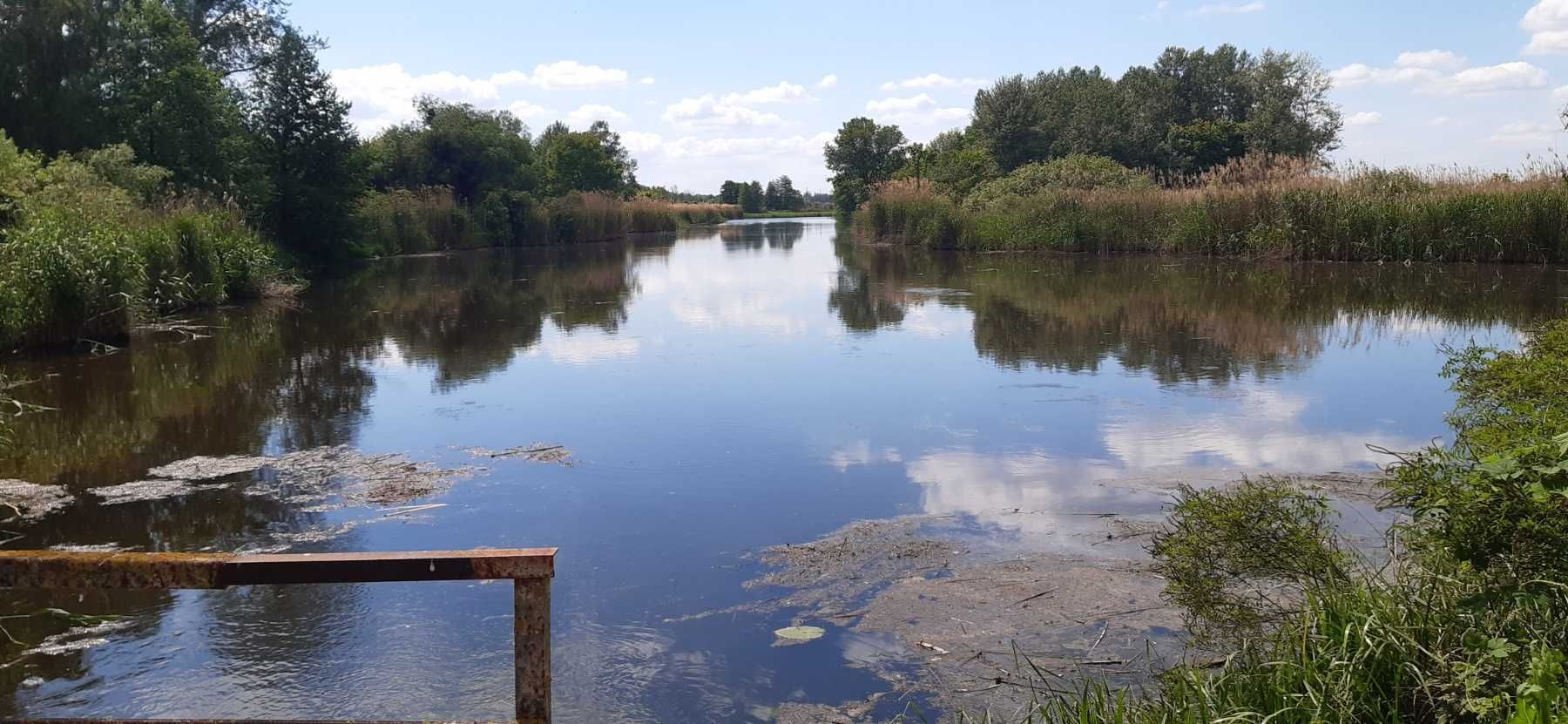 Дача. Ділянка з видом  на каналі Дніпра.