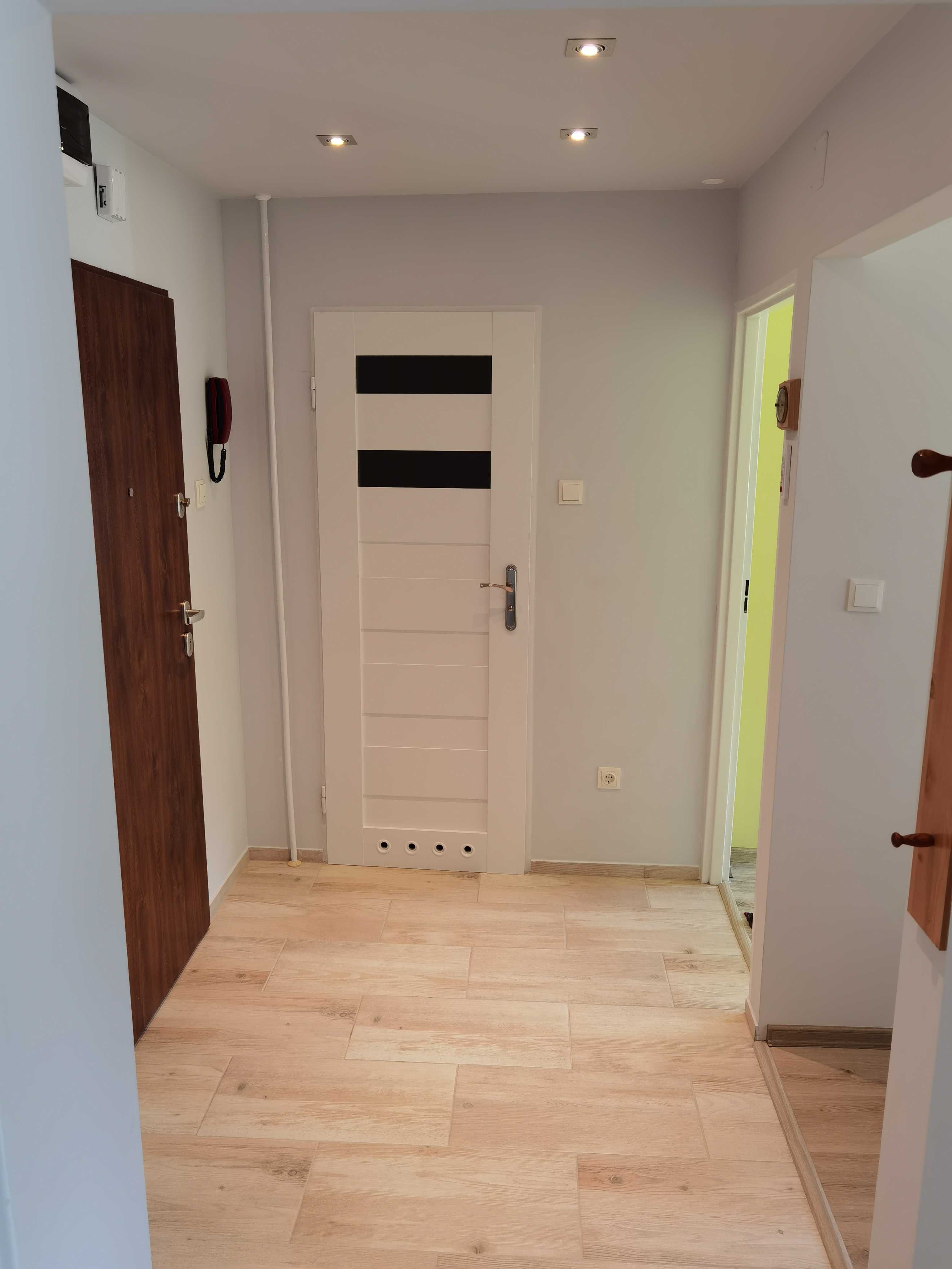 Wynajmę mieszkanie 38m parter 2 pokoje kuchnia łazenka