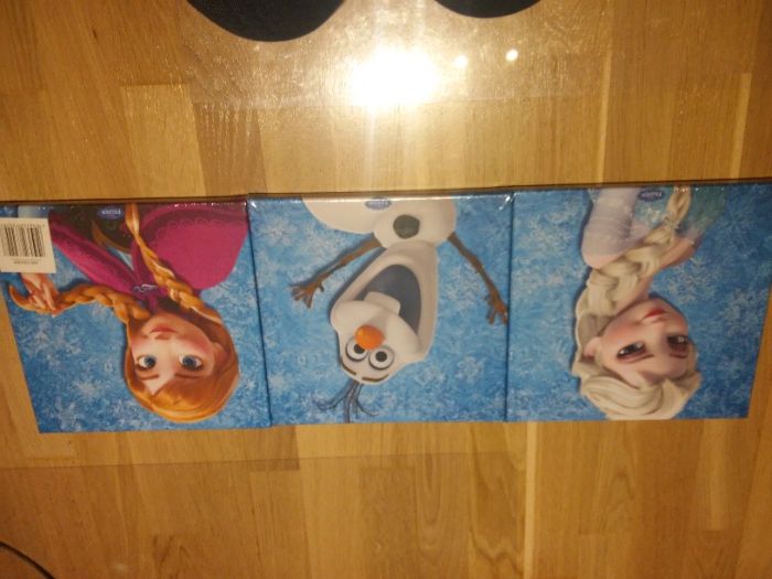 Obrazki na płótnie - Frozen