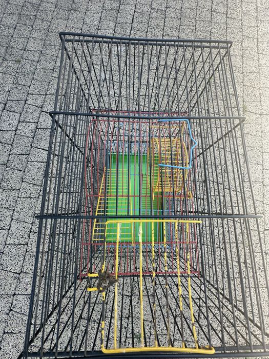 duża klatka dla chomika