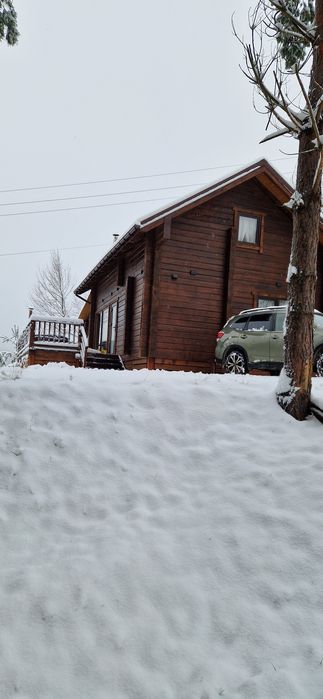 Оренда котеджу з освіжаючим джакузі  в горах(NiceHouse 2)