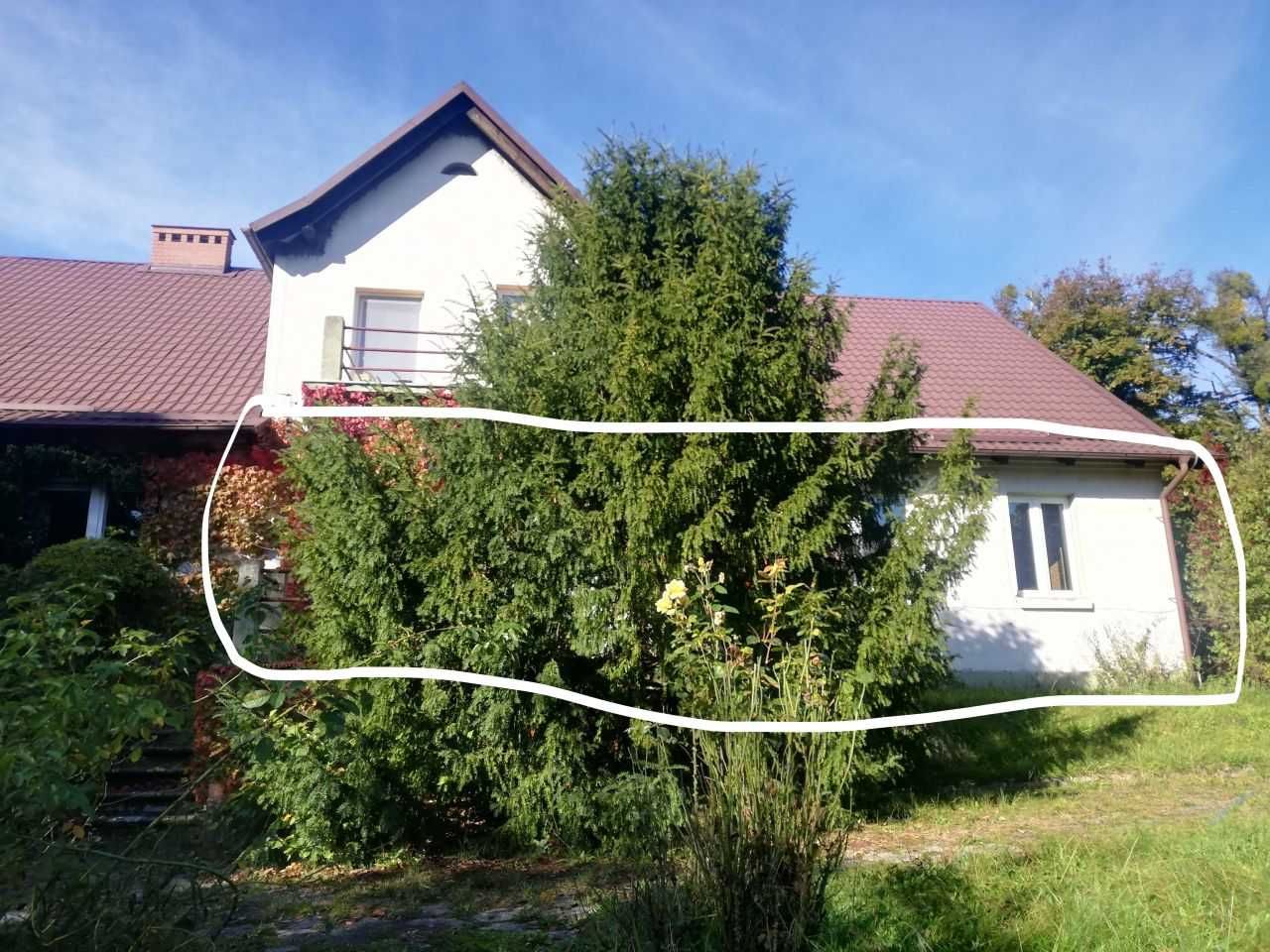 Sprzedam dom PELPLIN Nadleśnictwo