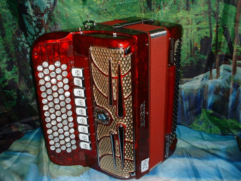 Acordeão Avenda G, .289