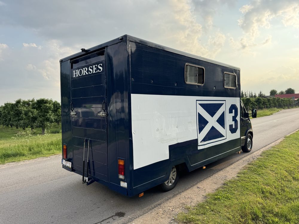 Renault Master 2.5 dCi 120KM Koniowóz do przewozu zwierząt Ducato Mova