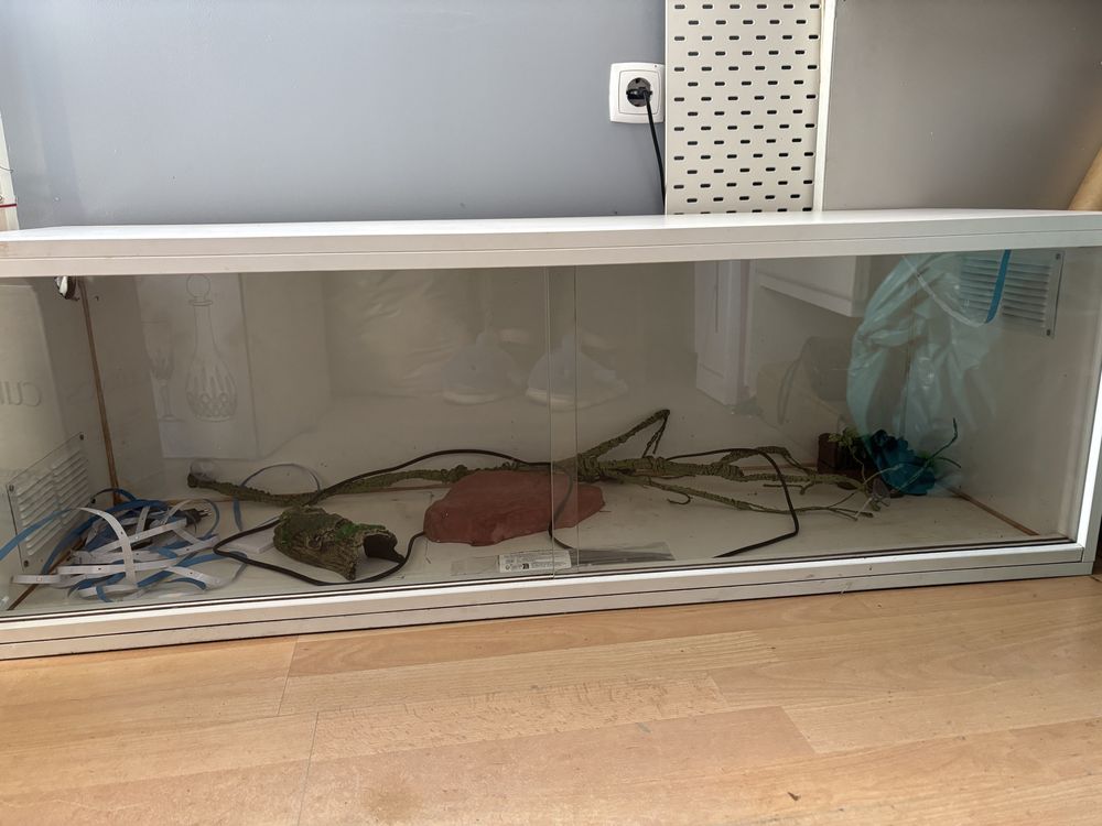 Terrário para répteis + acessórios