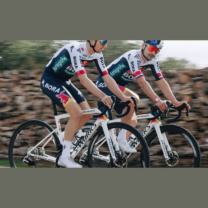 Quadro Specialized S-Works Tarmac SL8 Red Bull - Bora