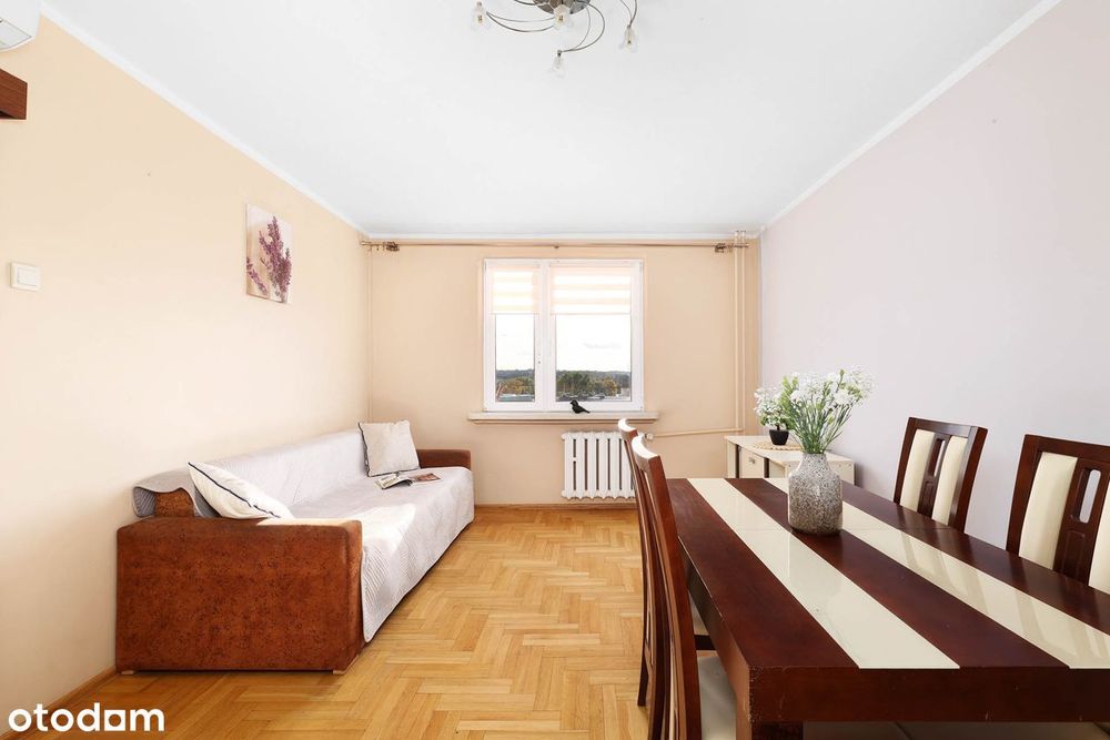 1M_2M |komórka + MP| możliwość własnej aranżacji| TYLKO U NAS!