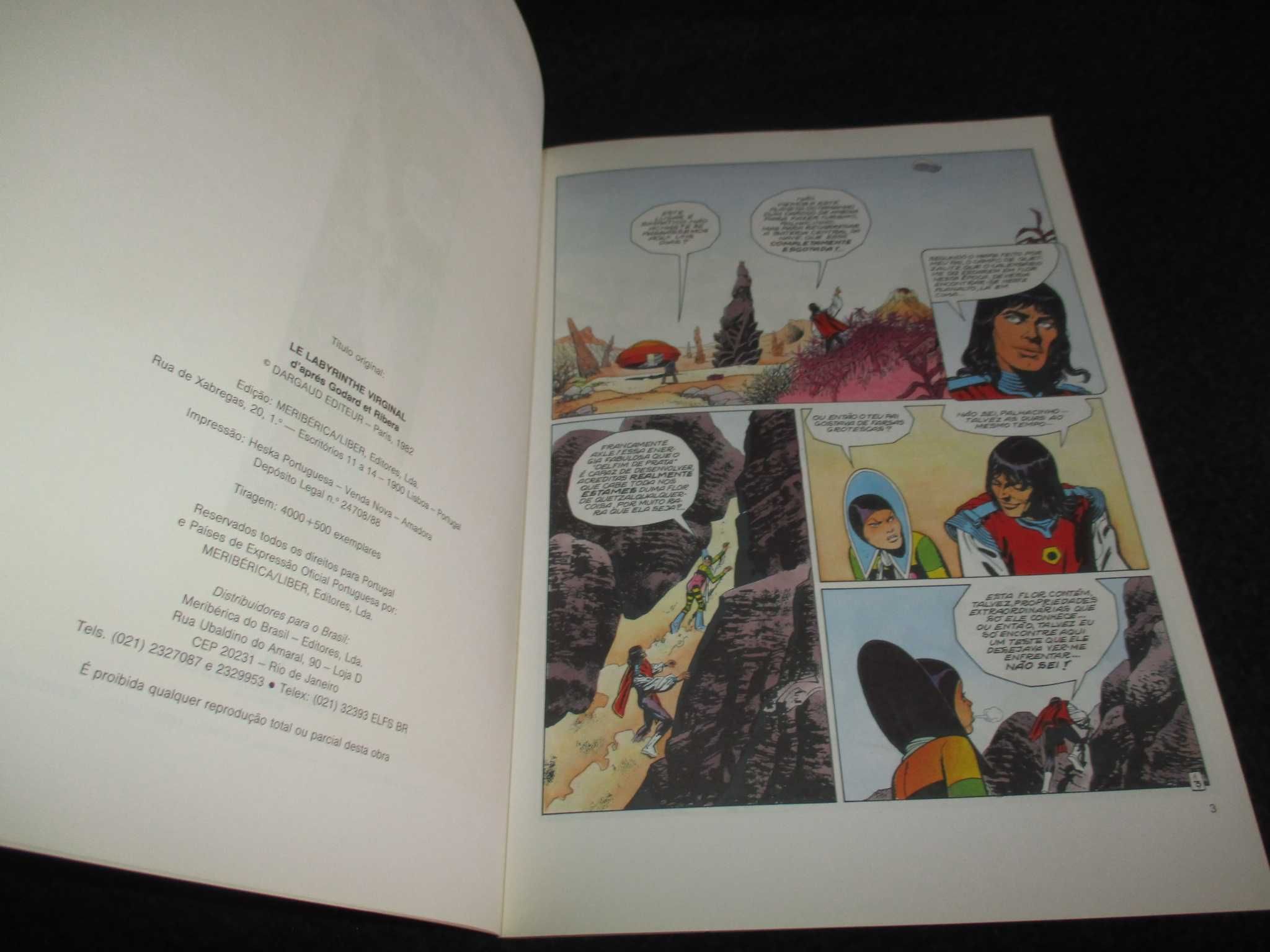 Livro BD O Vagabundo dos Limbos O Labirinto Virginal Godard
