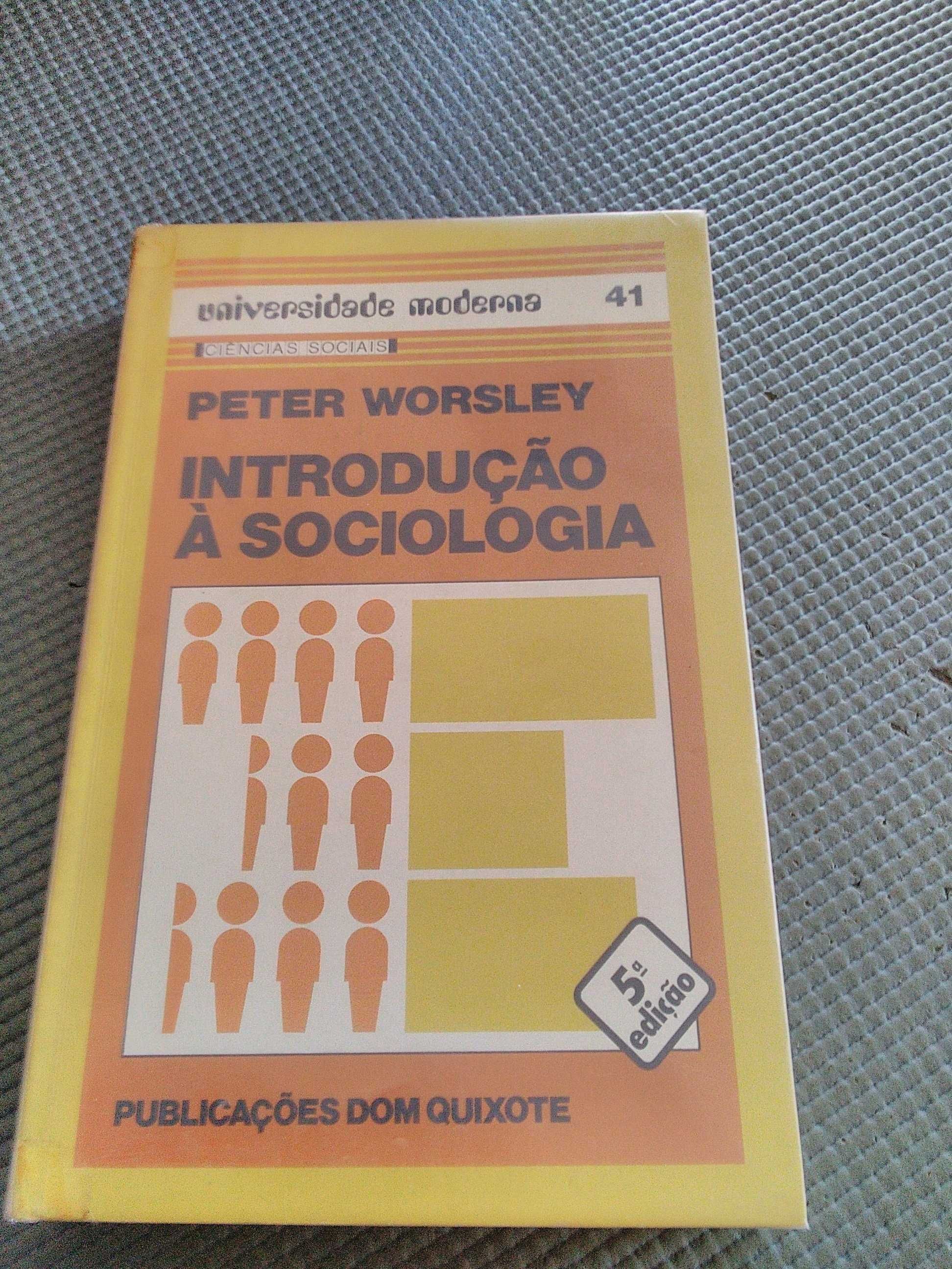 Introdução a Sociologia de Peter Worsley (1983)