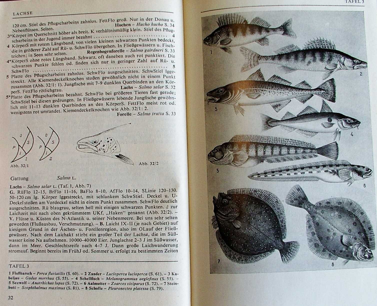 EXKURSIONSFAUNA 3 Wirbeltiere - Erwin Stresemann