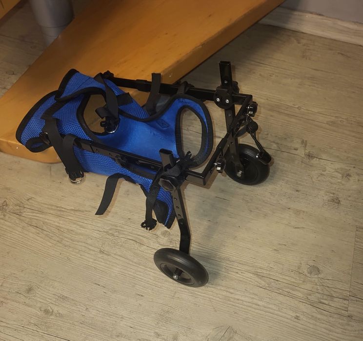 Wózek inwalidzki dla psa na tylne nogi