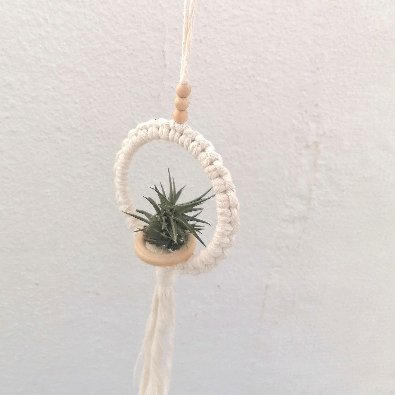 Suporte em macramê para Tillandsias (plantas aéreas)