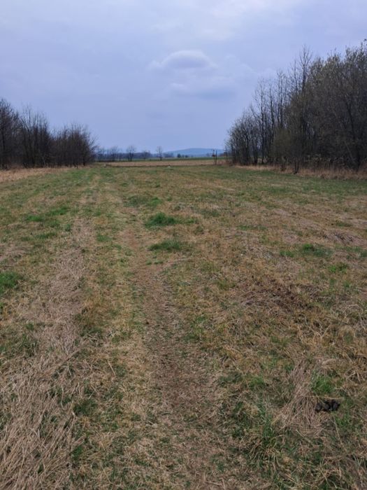 Działka budowlana w Szczepańcowej, Ul. Kwiatowa