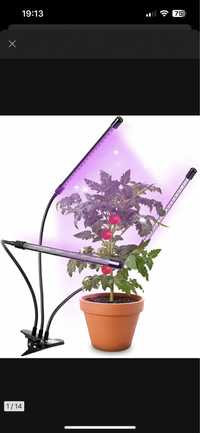Lampa do doswietlania roślin