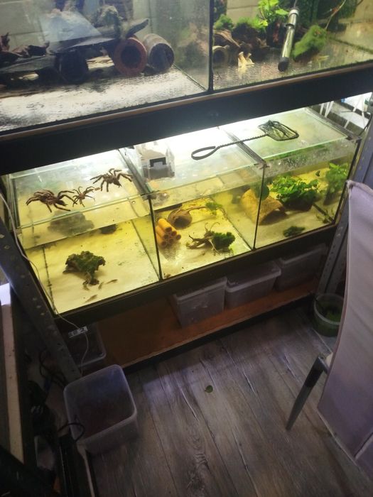 Akwaria różne wymiary